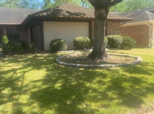 Bush Trimming by Rene Contreras for Jill W. in Sugar Land, TX