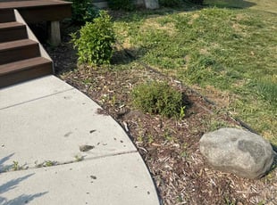 Weeding by Ismael Lozano for Chadwick J. in Saint Paul, MN