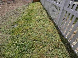 Cleanups by Delbert Jones for Carol C. in Boise, ID
