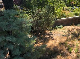 Cleanups by David Rordame for Maxwell C. in Salt Lake City, UT