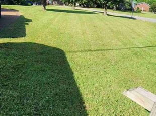 Ruth M.'s Lawn Mowing Service service result