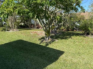 William F.'s Lawn Maintenance service result
