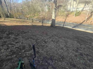 Leaf Removal by Zachary Krenik for Regina W. in Lusby, MD