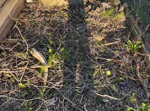 Cleanups by Tywuan Williams for James L. in Indianapolis, IN