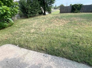Roger W.'s Lawn Service service result