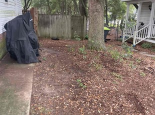 Laurel p.'s Leaf Removal service result