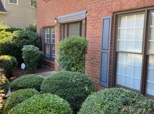 Bush Trimming by Kenneth Brown for Dylan B. in Alpharetta, GA