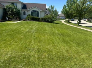 Brad M.'s Lawn Maintenance service result