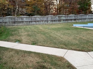 Leaf Removal by Matt Brown for Mary S. in Glen Allen, VA