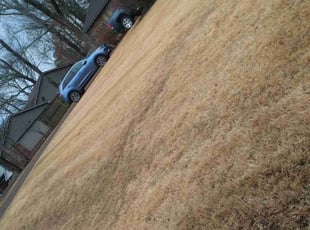 Leaf Removal by Jason Young for Kara S. in Benton, AR