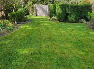 Bush Trimming by Dominique Ford for Harold G. in Seattle, WA
