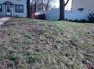 Leaf Removal by Gregg Hickerson for Amanda H. in Saint Paul, MN