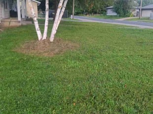 Frederick M.'s Yard Cutting service result