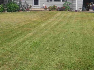 Ashley W.'s Lawn Care service result