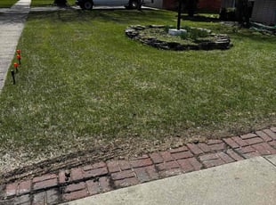 Monica L.'s Lawn Service service result