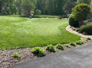 teresa L.'s Lawn Maintenance service result