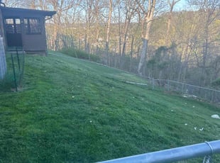 Patricia R.'s Lawn Care service result