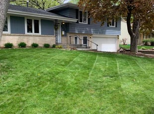 Cleanups by Rodolfo Zarate Jr for Samantha J. in Edina, MN
