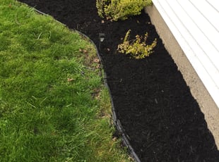 Bush Trimming by John Hellems for Terrell H. in Center Line, MI
