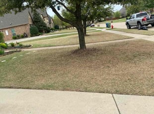 Leaf Removal by Jose Tovar for Krystal G. in Haslet, TX