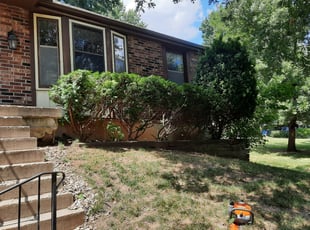 Bush Trimming by Brian Most for Steve K. in Overland Park, KS