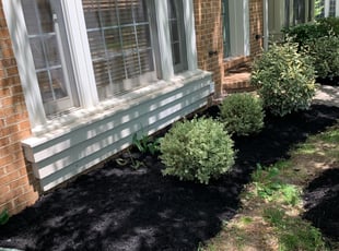 Mulching by Aaron Thichangthong for Fred D. in Fairfax, VA
