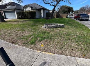 Leaf Removal by Gabriel Sosa for Beatrice A. in San Antonio, TX