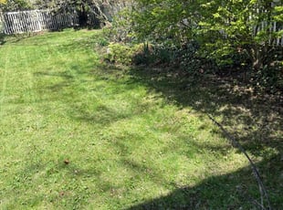 Leaf Removal by Matt Smith for Josefina E. in South Bend, IN