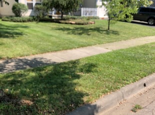 Cleanups by Kwesi Broomfield for Michael B. in Columbus, OH