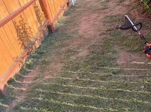 Tana P.'s Lawn Service service result