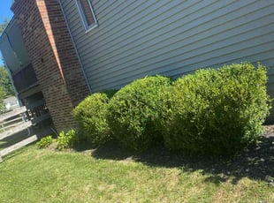 Bush Trimming by Jose Maltos for Joseph A. in Cincinnati, OH