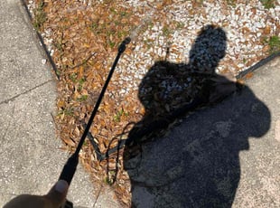 Weeding by Devin Jones for Patricia F. in Jacksonville, FL