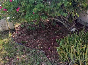 Weeding by Balderas lawn care LLC for Keka A. in Orlando, FL