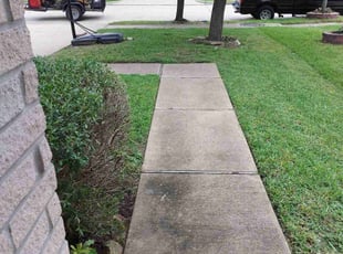 Bush Trimming by Vincent Phillips for Nadjala M. in Houston, TX