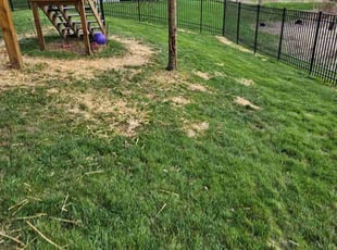 Aeration by Thomas Abney for Rob C. in Wadsworth, OH