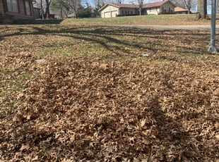 Cleanups by Aaron Vertreese for Rachel M. in Kaw Township, MO