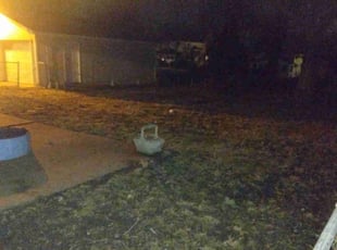 Leaf Removal by James Buchanan for Eli B. in Grandview, MO