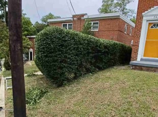 Bush Trimming by Jose Paz for Richard M. in Washington, D.C., DC