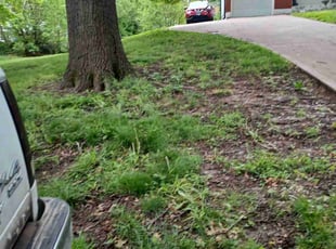 Cleanups by Charles Ridge for Katherine D. in Kansas City, MO