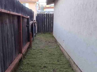 Anita R.'s Yard Cutting service result