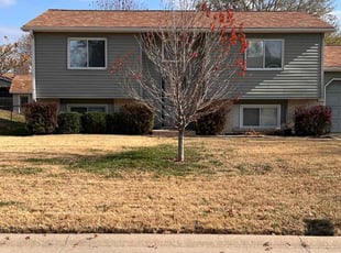 Bush Trimming by Curtis Thornburgh for Linda P. in Wichita, KS