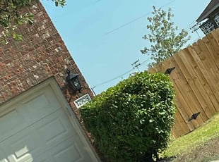 Bush Trimming by Arsene Kwizera for Mary S. in Round Rock, TX