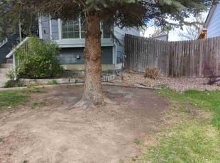 Leaf Removal by Johnny Hines for Lee N. in Aurora, CO