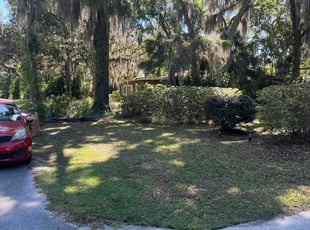 Bush Trimming by Wyatt Zintiz for Britt G. in Gainesville, FL