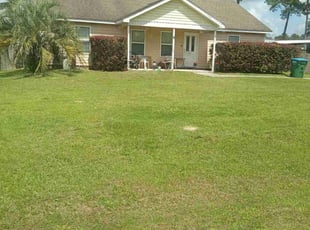 Bush Trimming by Donnie Jones for Margo W. in Midway, FL