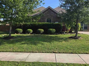 Bush Trimming by Adriana Salgado for Angie D. in Royse City, TX