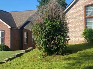 Bush Trimming by Joey Handley for Randall B. in Sand Springs, OK