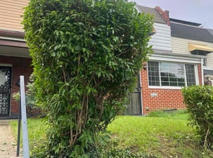 Bush Trimming by Deshaira Davis for KAREN G. in Washington, DC