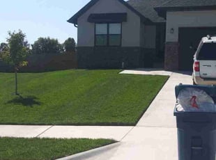 Madeline H.'s Lawn Mowing Service service result