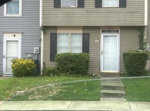 David M.'s Bush Trimming service result